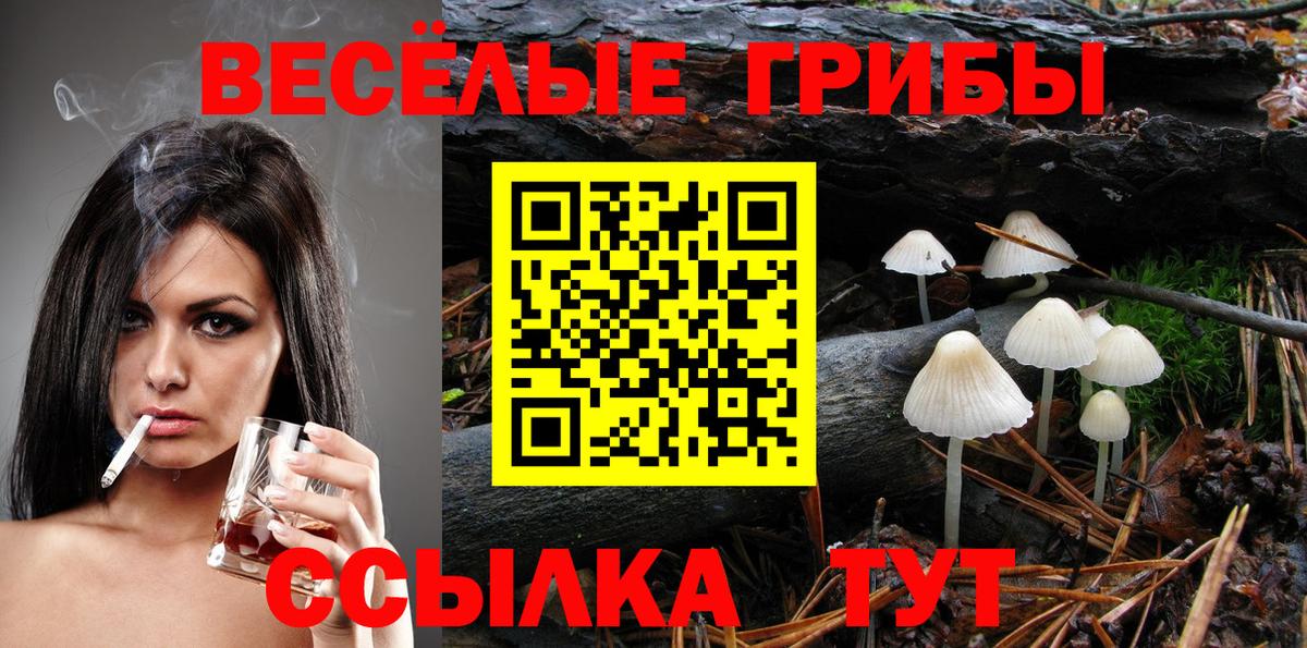 Галлюциногенные грибы мухоморы  Галлюциногенные грибы GOLDEN TEACHER  Вход с VPN  Петрозаводск 
