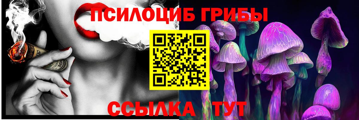 Галлюциногенные грибы Cubensis Петрозаводск